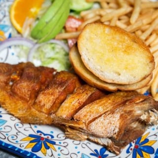 Bagre Catfish